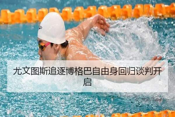 尤文图斯追逐博格巴自由身回归谈判开启